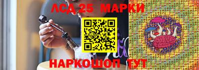 молекула духа Донской