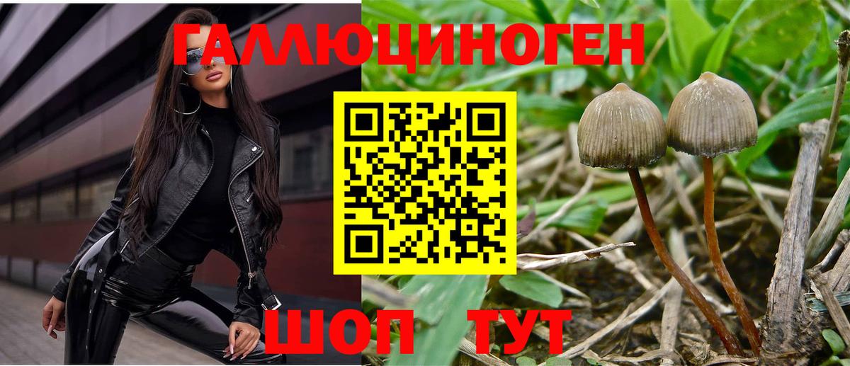 Будённовск  Псилоцибиновые грибы мицелий  Галлюциногенные грибы прущие грибы  магазин    Вход с VPN 