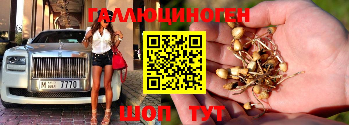 Галлюциногенные грибы мицелий  Псилоцибиновые грибы Cubensis  Будённовск 