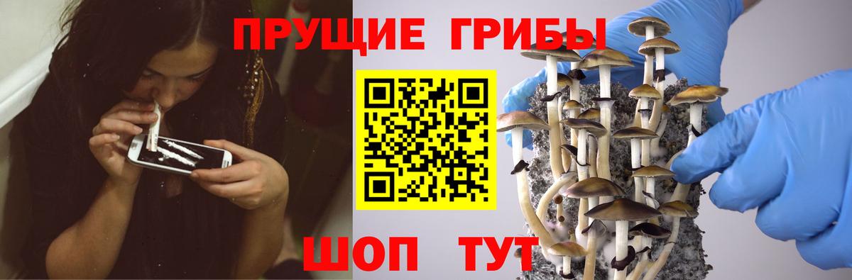 Псилоцибиновые грибы мухоморы Будённовск