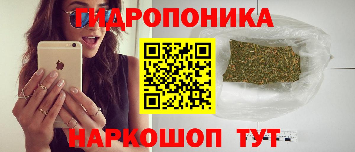 Шишки марихуана сатива Будённовск